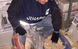 Uno degli oltre 400 controlli della Guardia Costiera di Livorno