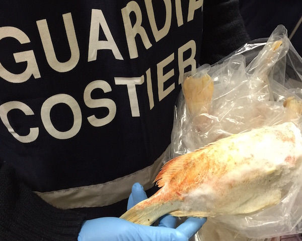 Pesce non in regola con le norme sulla vendita sequestrato dalla Guardia Costiera