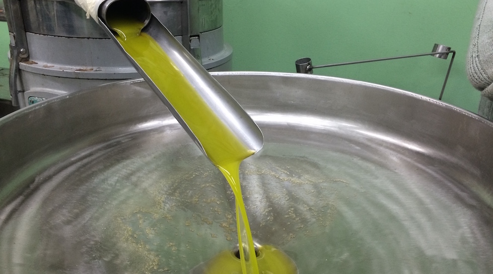 Olio di oliva sotto esame