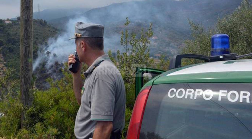 Un principio di incendio boschivo dove sta intervenendo la Forestale