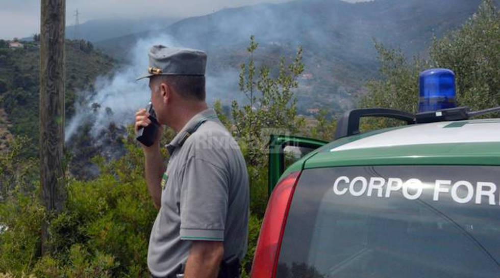 Un principio di incendio boschivo dove sta intervenendo la Forestale
