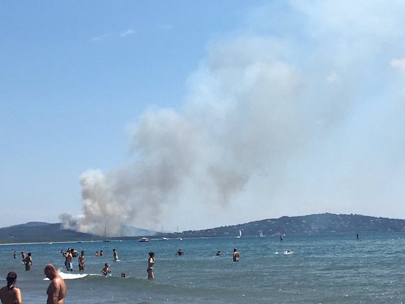 Brucia la costa vicino ad Ansedonia (foto da Twitter di S.Cosimi)