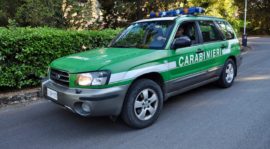 Gli automezzi dei Carabinieri già del Corpo Forestale hanno mantenuto il tradizionale colore verde