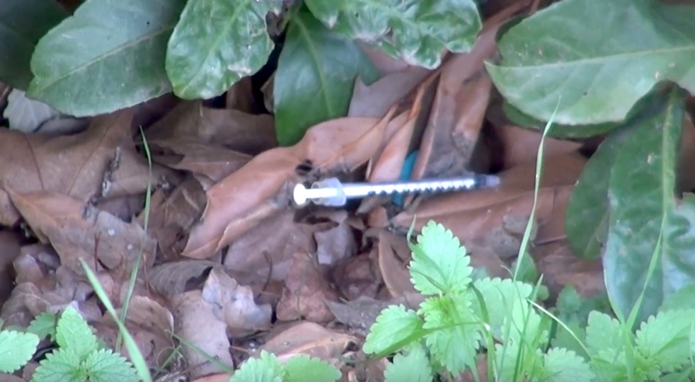 Siringhe abbandonate nel parco della Montagnola dove vorrebbero giocare i bambini