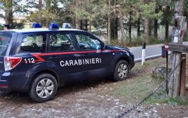 Il bosco di Monte Senario dove sono state rinvenute le bombe