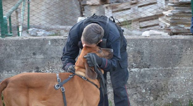 Il carabiniere Gringo abbracciato dal suo conduttore