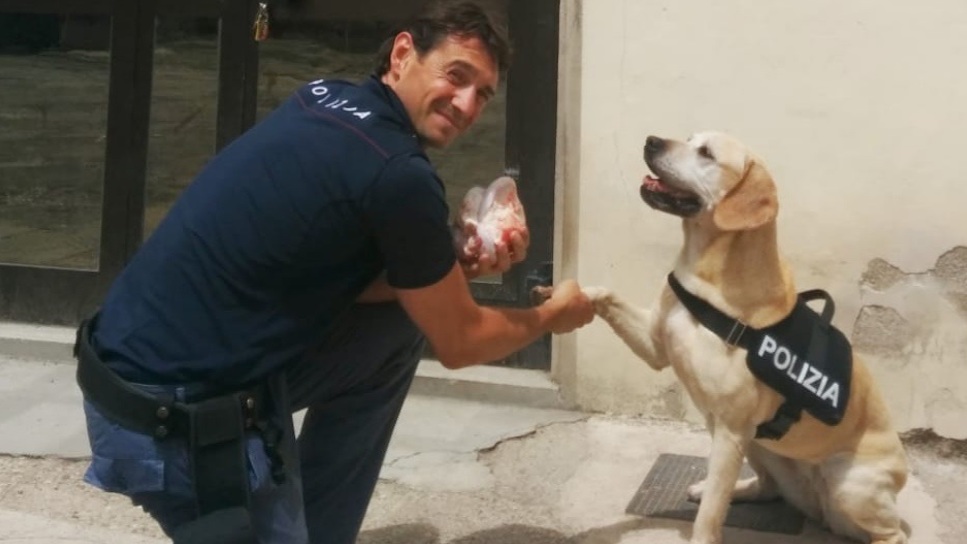 Mexy con il suo conduttore FrancescoMexy con il suo conduttore Francesco