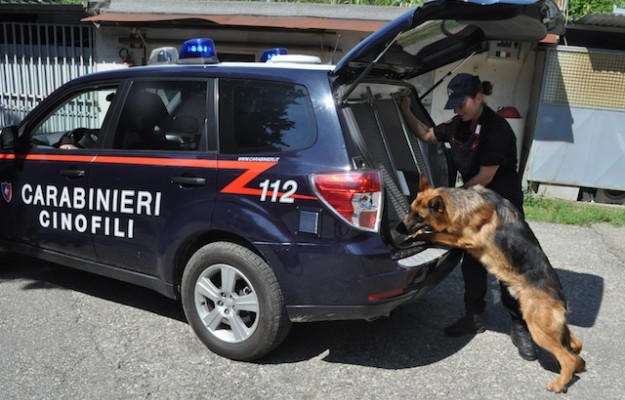 Una unità cinofila dei Carabinieri