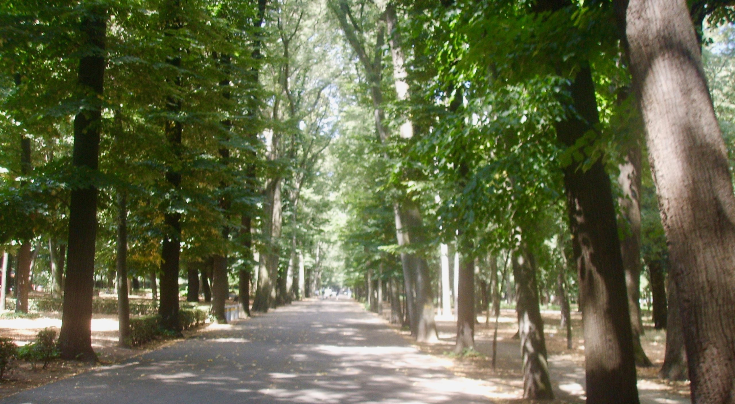 Tra i parchi di Firenze, le Cascine è il più frequentato