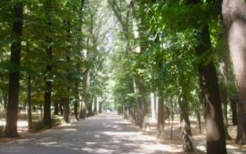 Tra i parchi di Firenze, le Cascine è il più frequentato